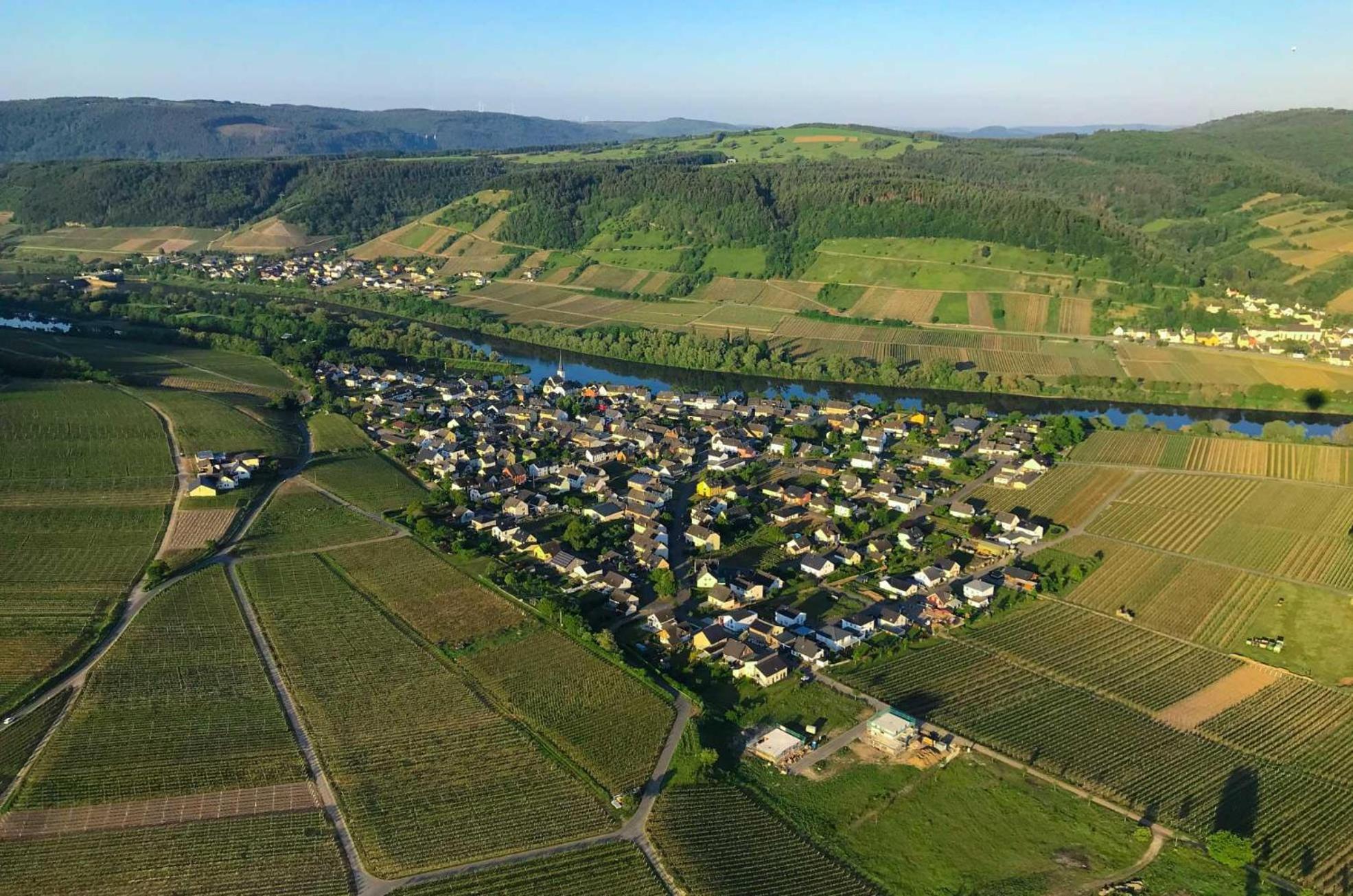 Ferienwohnungen Moselterrasse Detzem Kültér fotó